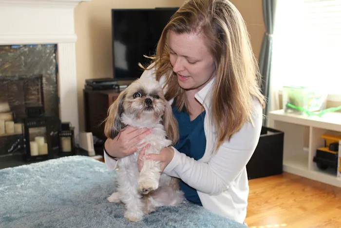 Lucy’s Veterinary Care - Mobile & Clinic Location 7