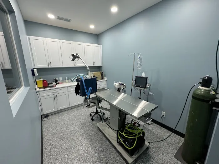 Lucy’s Veterinary Care - Mobile & Clinic Location 6