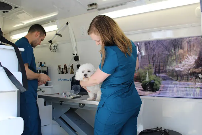 Lucy’s Veterinary Care - Mobile & Clinic Location 4