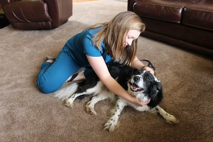 Lucy’s Veterinary Care - Mobile & Clinic Location 3