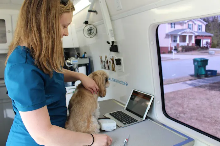 Lucy’s Veterinary Care - Mobile & Clinic Location 8