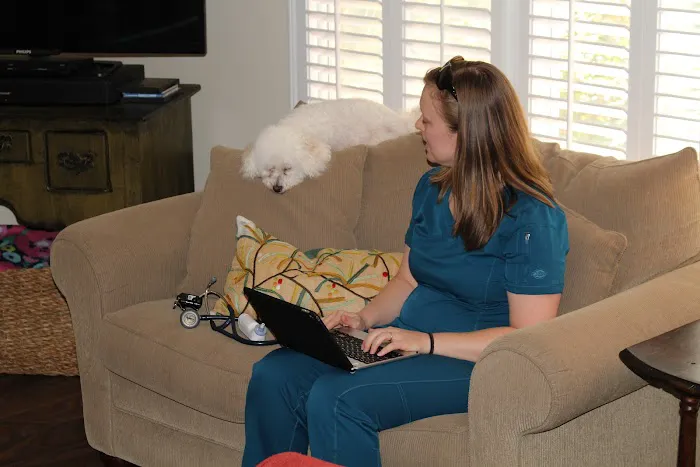 Lucy’s Veterinary Care - Mobile & Clinic Location 5