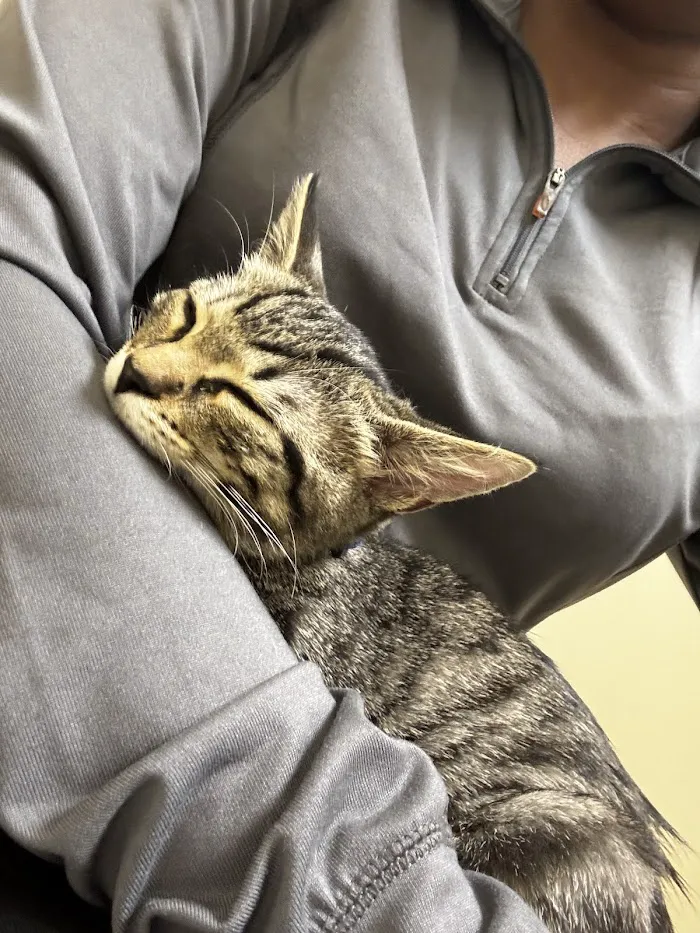 Vetco Total Care Animal Hospital 5