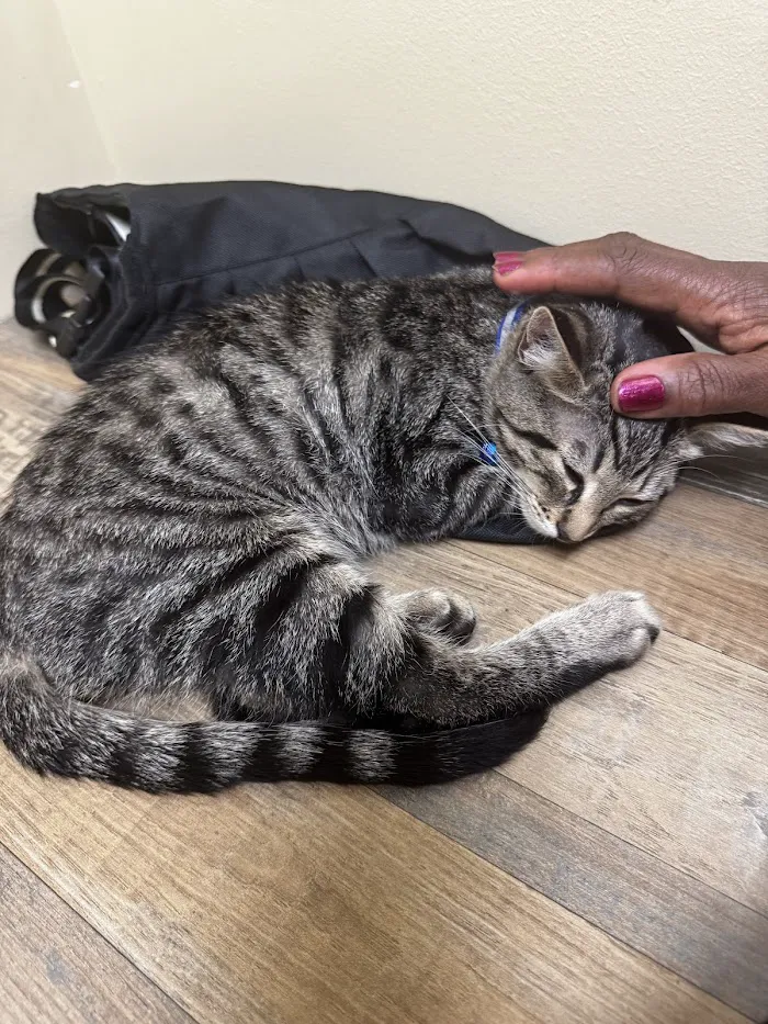 Vetco Total Care Animal Hospital 8