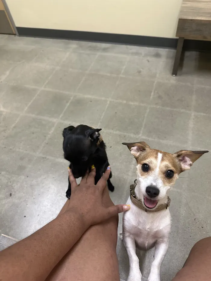 Vetco Total Care Animal Hospital 7