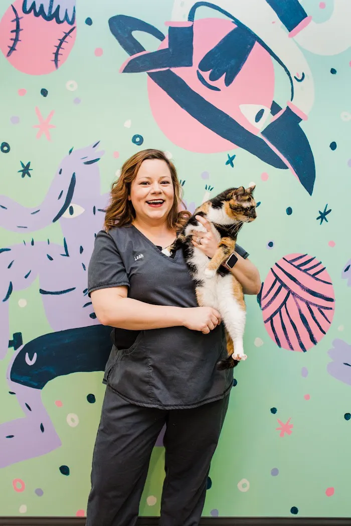 Common Companion Vet Co. 1