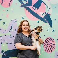 Common Companion Vet Co. ico