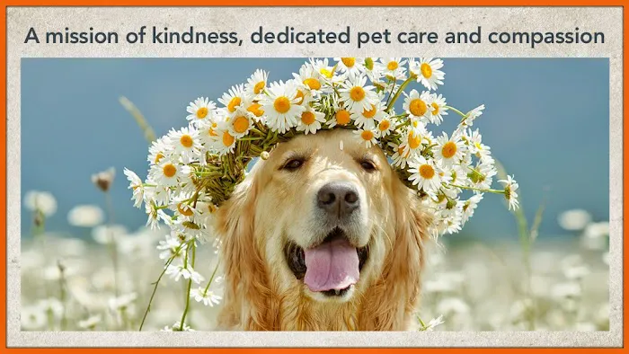 Animal Care Center 12