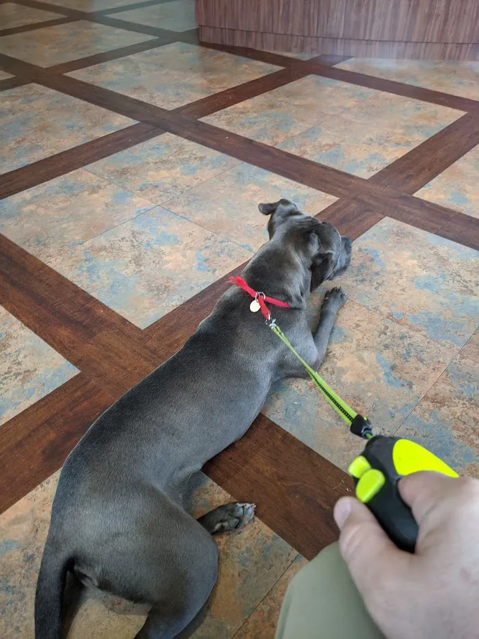 Leland Veterinary Clinic 6