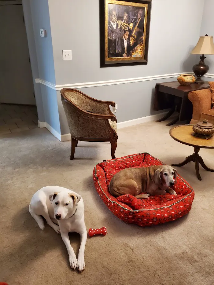 Leland Veterinary Clinic 10