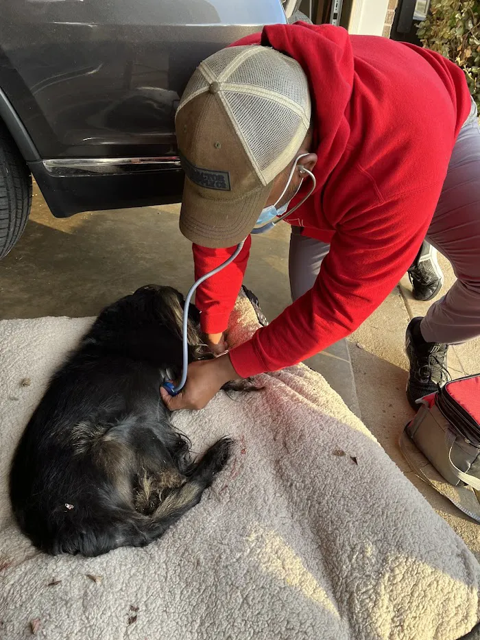 Jackson's Veterinary Services 4