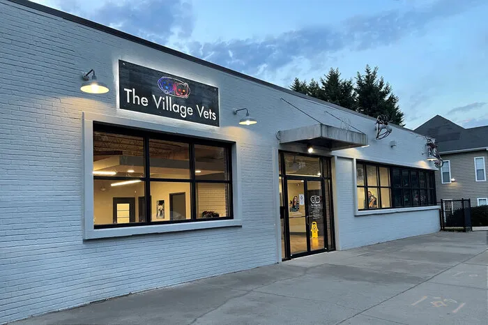 The Village Vets Virginia Highlands 6