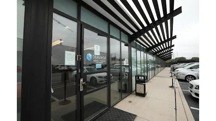 BluePearl Pet Hospital 12