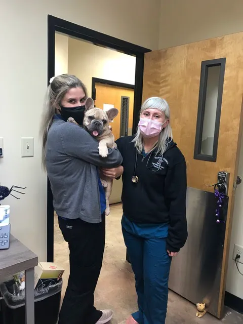 Saint Francis Veterinary Specialists and Emergency 3