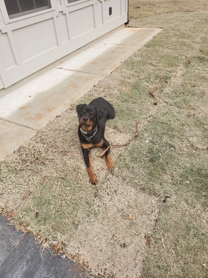 The Healthy Pet Veterinary Clinic 12