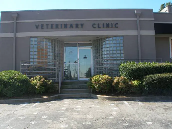 The Veterinary Clinic 2