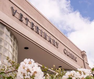 The Veterinary Clinic