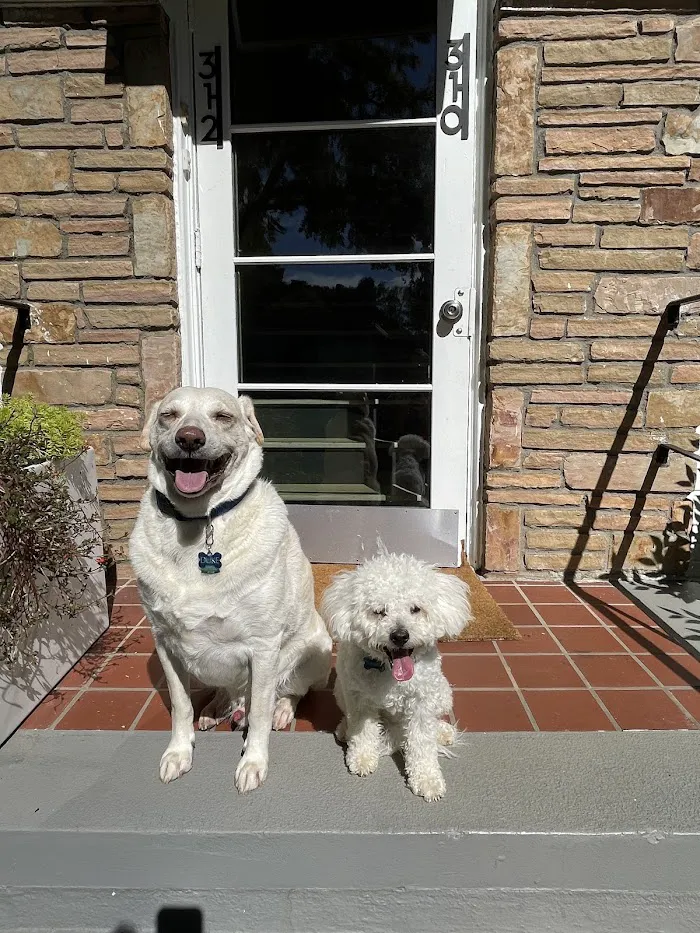 The Veterinary Clinic 4