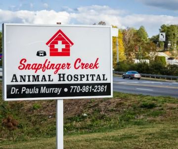 Snapfinger Creek Animal Hospital