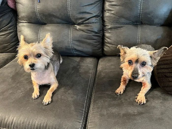 Columbia Belvedere Animal Hospital 12