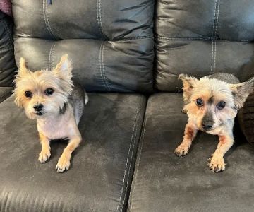 Columbia Belvedere Animal Hospital