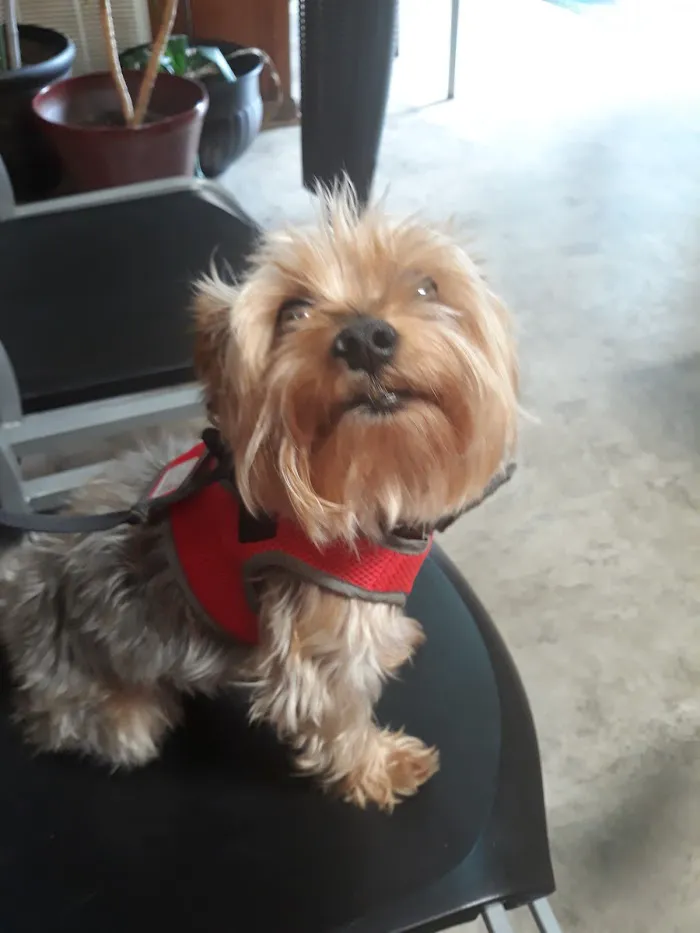Columbia Belvedere Animal Hospital 12