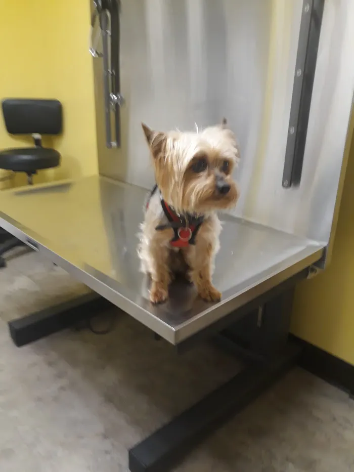 Columbia Belvedere Animal Hospital 12