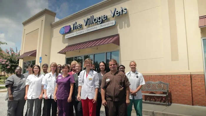 The Village Vets 5