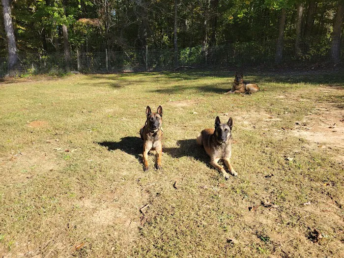 Crossroads Animal Hospital 3