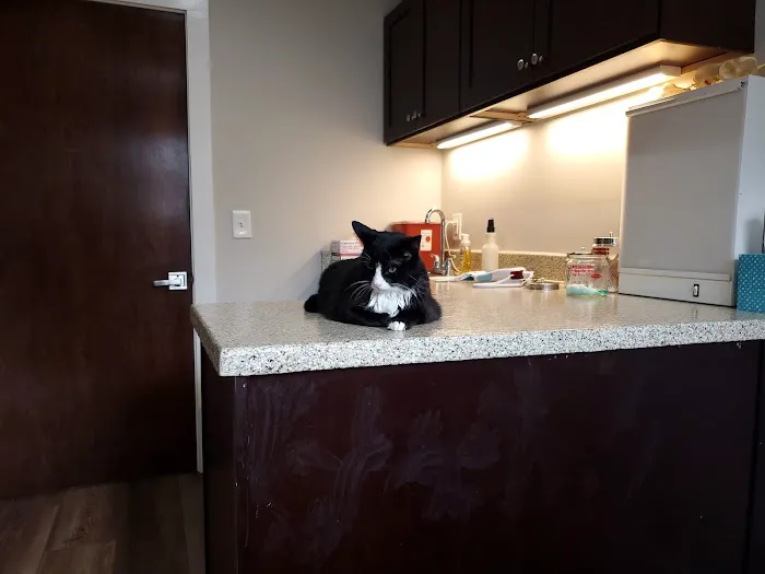 Newnan Animal Hospital 12