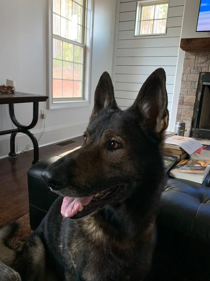 Newnan Animal Hospital 12