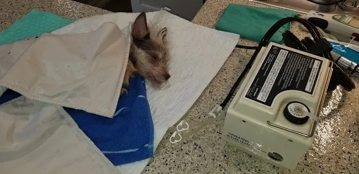 Newnan Animal Hospital 12