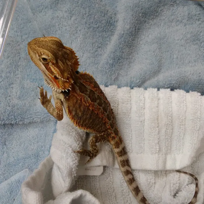 Newnan Animal Hospital 12