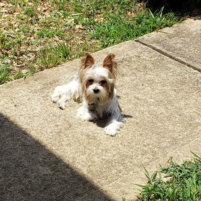 Banfield Pet Hospital 12