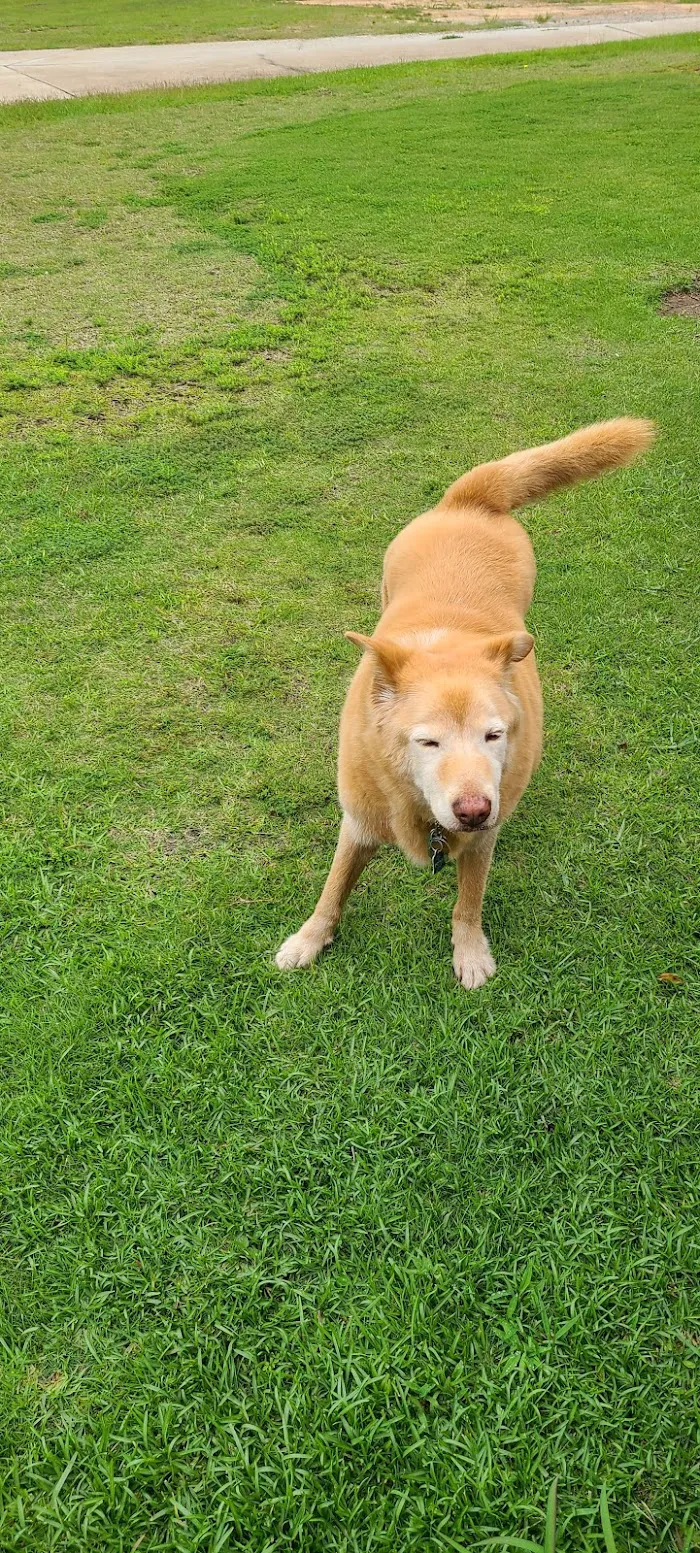 Banfield Pet Hospital 12