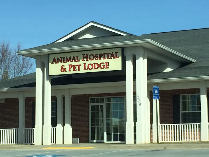 Family Friend Animal Hospital & Pet Lodge, Summerlin Boulevard, Newnan, GA 12