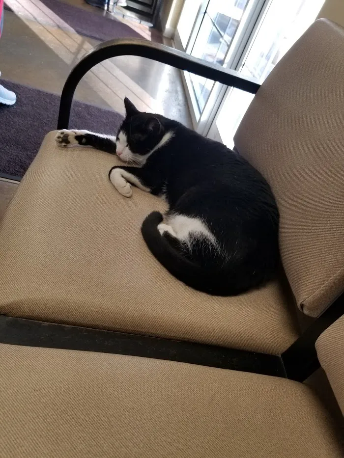 Family Friend Animal Hospital & Pet Lodge, Summerlin Boulevard, Newnan, GA 12