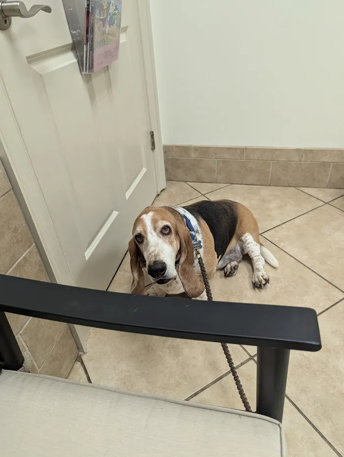 Crescent Veterinary Hospital 12