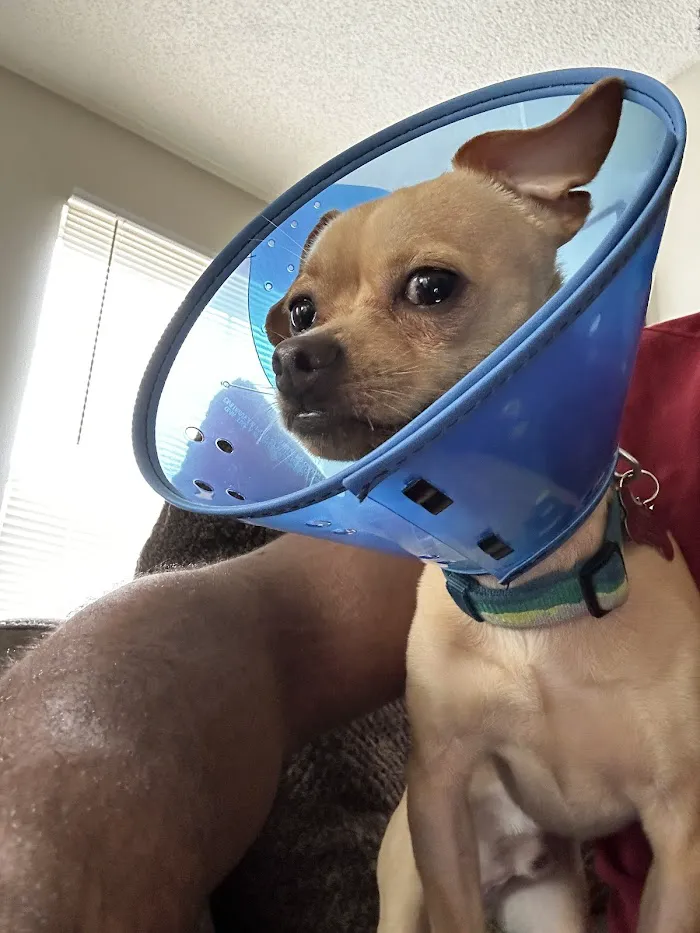 Bankhead Animal Hospital 12