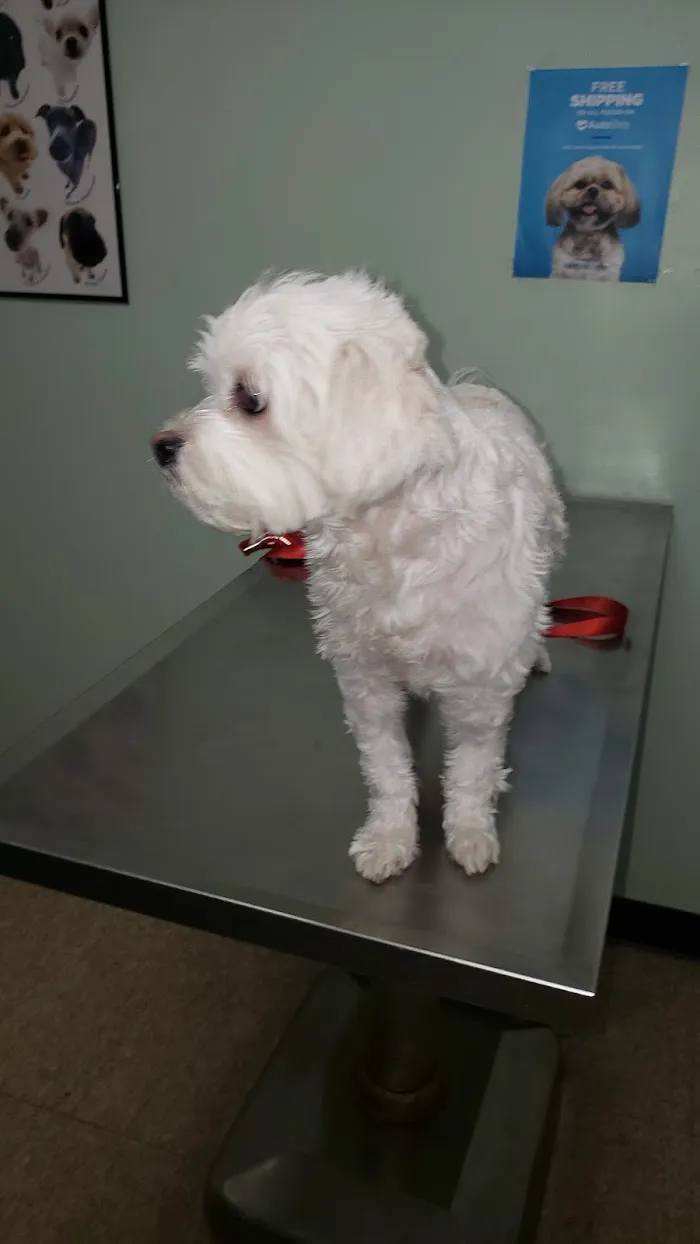 Bankhead Animal Hospital 12