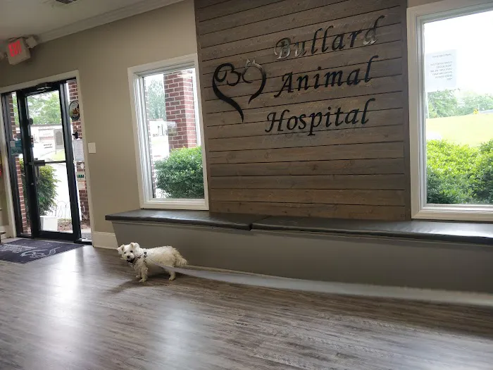 Bullard Animal Hospital 1
