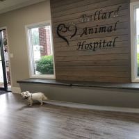 Bullard Animal Hospital ico