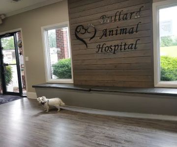 Bullard Animal Hospital