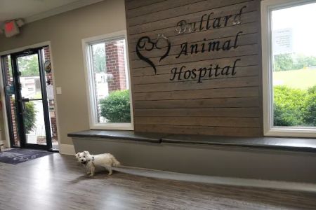 Bullard Animal Hospital