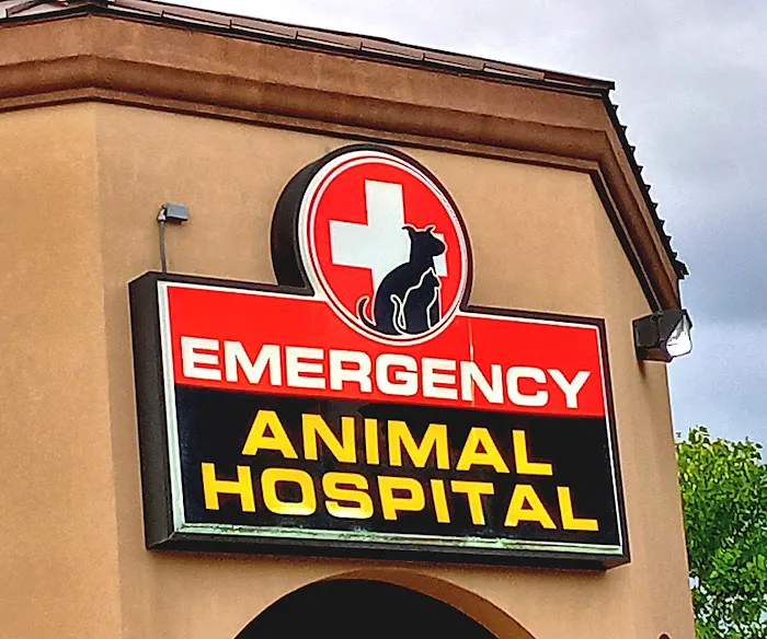 Westside Animal Emergency Clinic 12