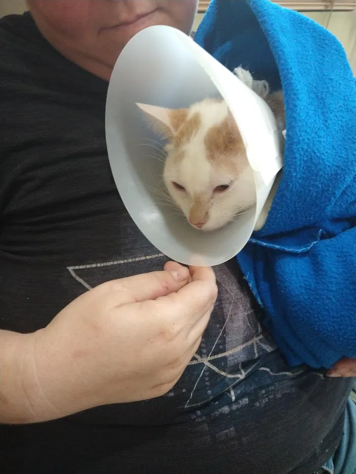 Westside Animal Emergency Clinic 12