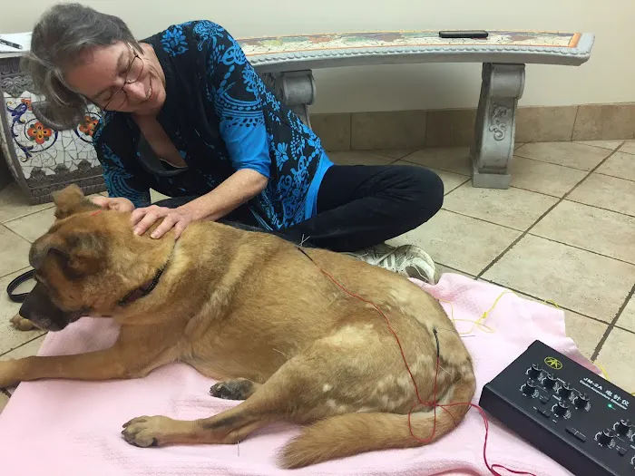Inman Park Animal Hospital 1