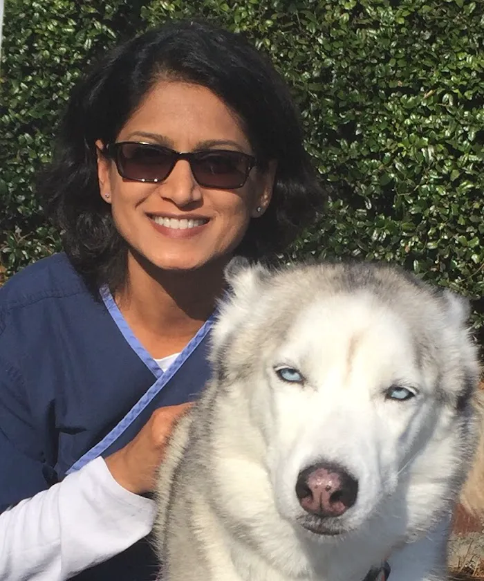 Inman Park Animal Hospital 3