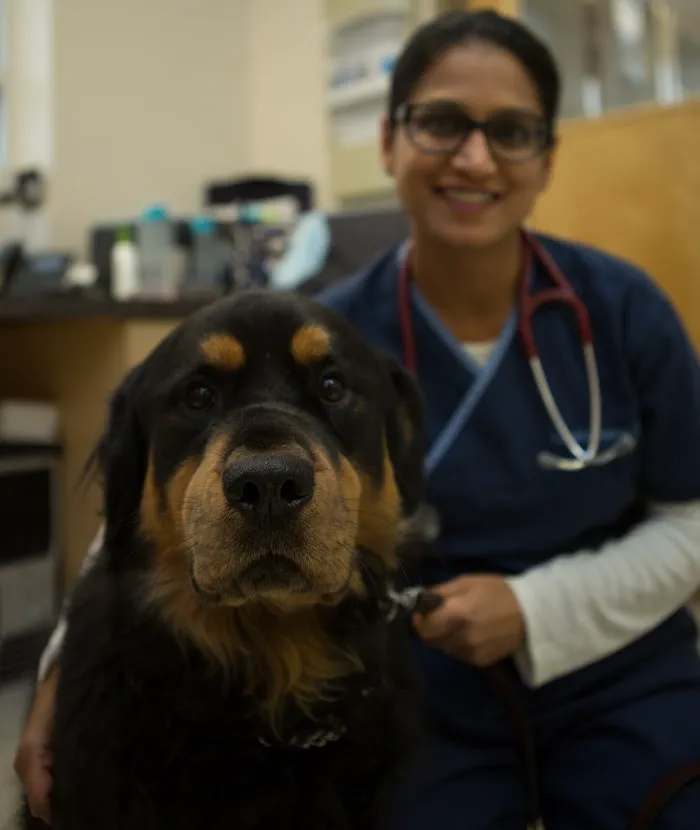 Inman Park Animal Hospital 2