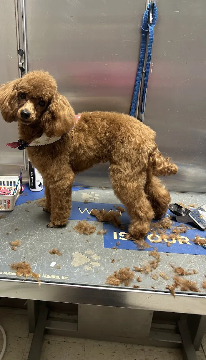 West Cobb Veterinary Clinic 12
